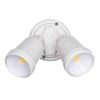 Brilliant Beige Raptor III Twin Flood Light