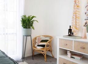 Peace lily is a planter within a cosy interior setting.