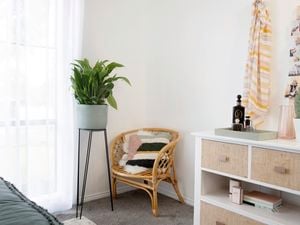 Peace lily is a planter within a cosy interior setting.