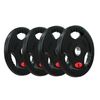 Fitnesslab 4x5kg Rubber Olympic Weight Plate Lifting Bumper Fitness Gym Crossfit
