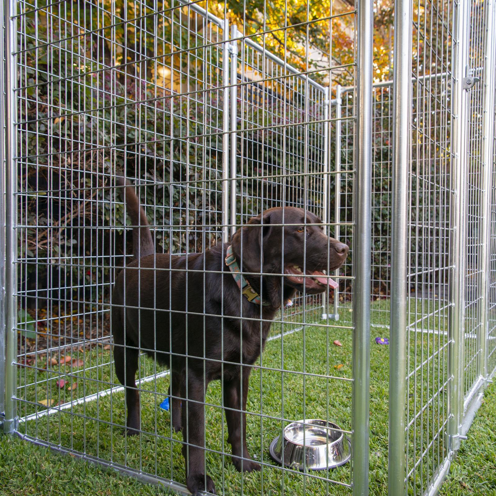 Dog cage bunnings best sale