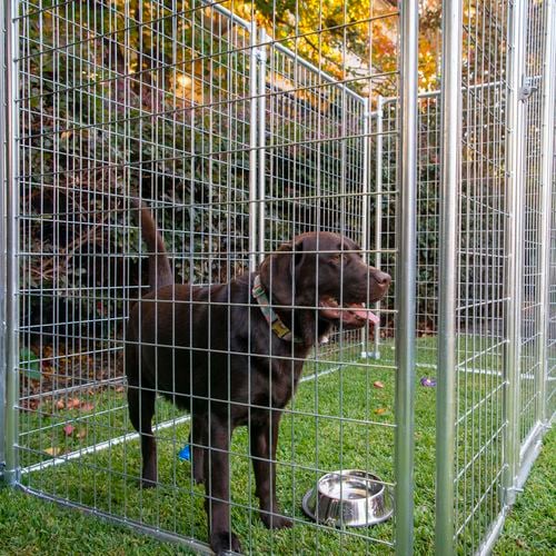 Outdoor dog enclosures bunnings best sale