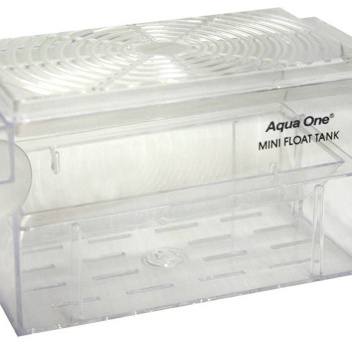 Guppy Fish Breeding Mini Floating Tank (16cm x 8cm x 7.5cm) by Aqua One