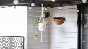 A collection of plants in hanging baskets and pots