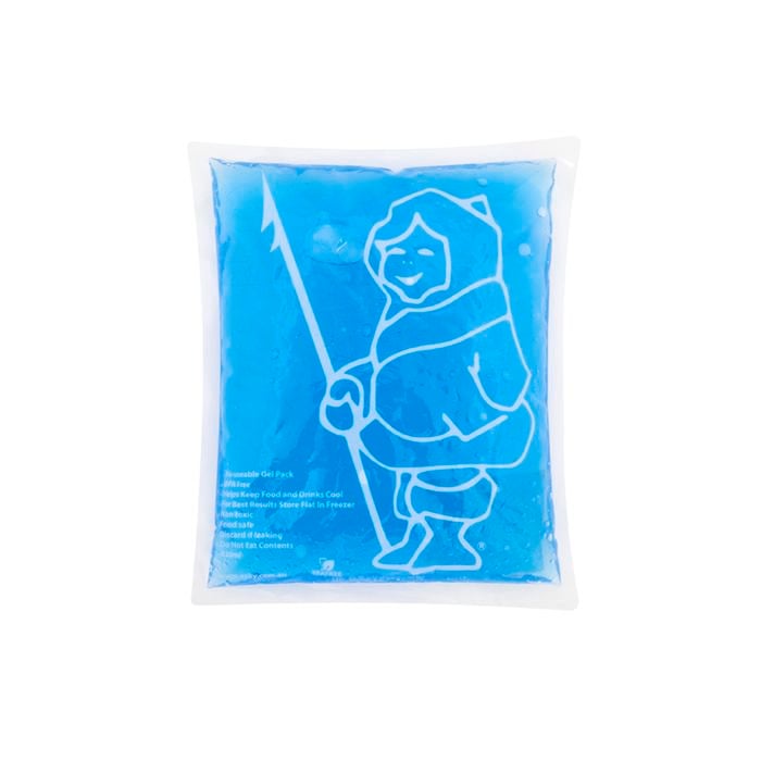 Esky Cooler Accessory Gel Pack Medium