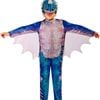 Nadder How To Train Your Dragon Kids Costume - 3-5