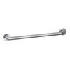 evakare 600mm Polished Stainless Steel Grab Rail
