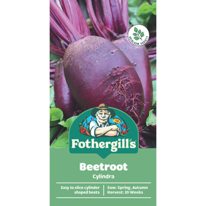 Fothergill's Cylindra Beetroot Vegetable Seeds
