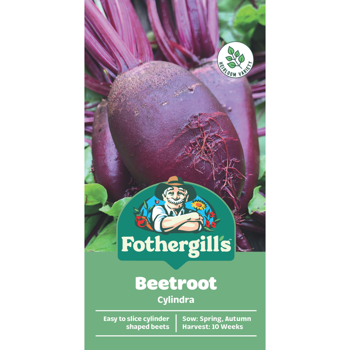 Fothergill's Cylindra Beetroot Vegetable Seeds