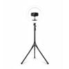 Newest 12 Inch Ring Light with 62 Inch Tripod Stand and Magnetic Phone Holder