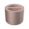 Bentgo Stainless Steel Insulated 560ml Food Container 13x10.4cm Rose Gold