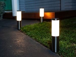 Verve Design Enzo Table & Wall Light - Green