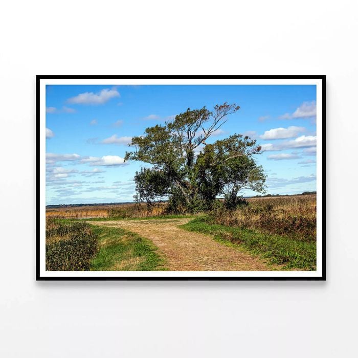 Tree in the Parker River  Print 100% Australian Made 120x90cm  (Poster)