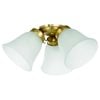 Eglo Waikiki Fan Light 3x40w Brass Matt (Light Kit Only, Fan Sold Separately)