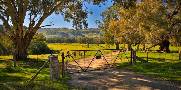 Rural Range - Store page banners
