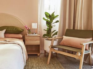 A modern bedroom featuring a queen bed with a curved headboard, peach walls, a timber bedside table with a lamp, a large potted plant, and an armchair.