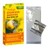 The Buzz Guava Moth Trap Refill