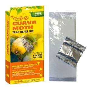 The Buzz Guava Moth Trap Refill