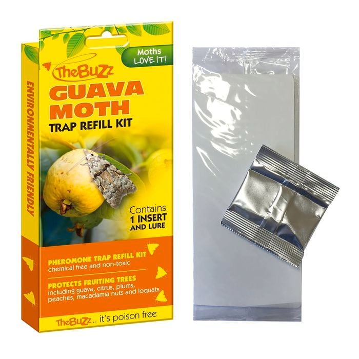 The Buzz Guava Moth Trap Refill