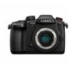 Panasonic Lumix Gh5 Ii Body