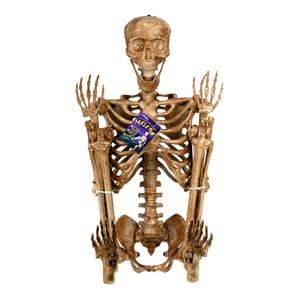 Lytworx 160cm Battery Operated Skeleton