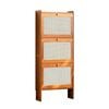 Lauft Slim Shoes Cabinet Storage Rack Flip Door 3 Tier Thin Shoe Rack Organiser