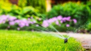 Close up of automatic sprinkler system watering the grass.