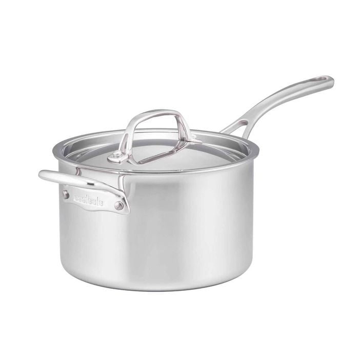 Essteele Eternita Clad Stainless Steel Induction Covered Saucepan 20cm - 3.7L