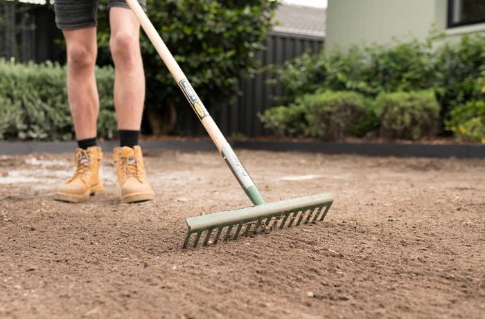 A person wearing work boots is raking soil to level the ground, preparing it for a new turf.