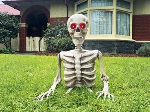 Product.Galah Halloween Skeleton Ground Breaker With Sound & Lights.0831479.NZ.productOtherMedia.6