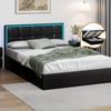 Oikiture Bed Frame RGB LED Gas Lift Double Black
