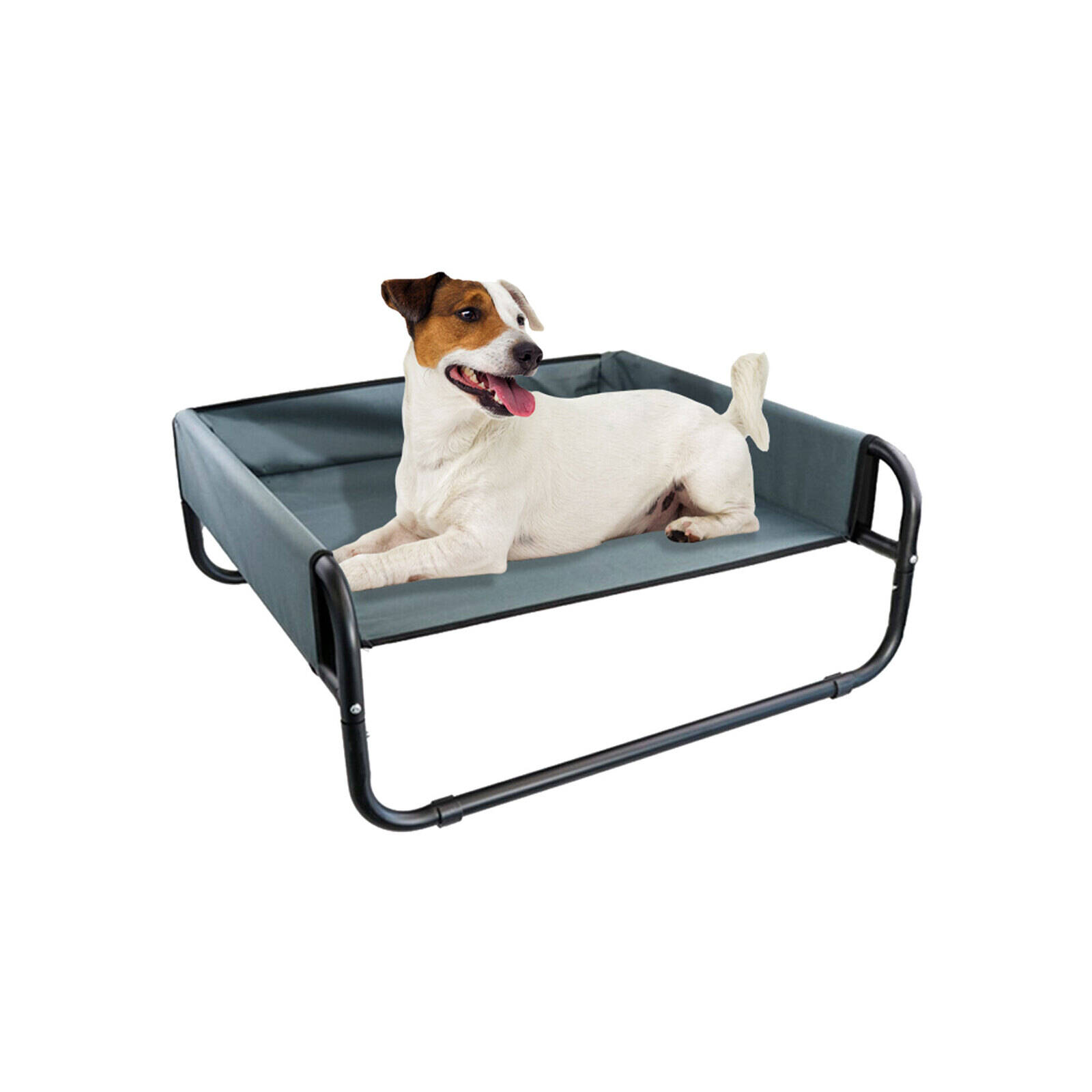 Paws Claws Elevated Walled Pet Bed Small Bunnings Australia