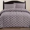 Ramesses Mirco Flannel Comforter Set Printing/Solid-Diamond Flower