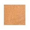Q'Decor 300 x 300 x 6.0mm Cork Tile - 9 Tiles / Pk 0.81m²   