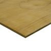 IBS Mini Panels 1200 x 600 x 12mm H3.2 CD Plywood