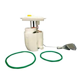 Electric Fuel Pump for HSV Maloo VE