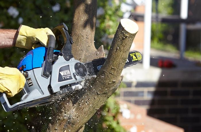 A person cutting a tree branch with a chainsaw