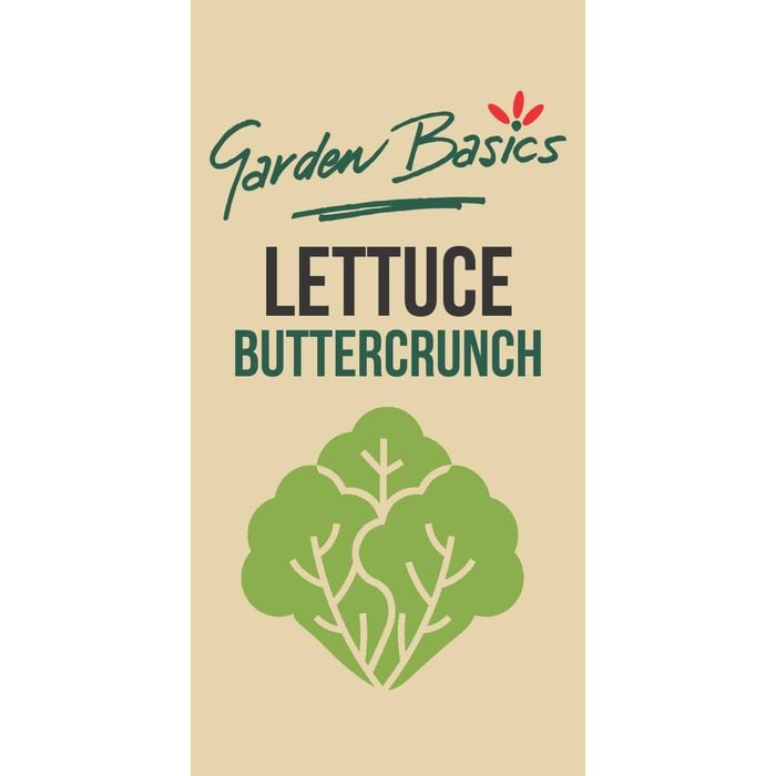 Garden Basics Buttercrunch Lettuce