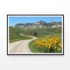 Yellow Flowers, Mountains, Road  Print 100% Australian Made 120x90cm  (Poster)