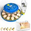 Advwin Automatic 18 Egg Incubator + Chicken Brooder Box