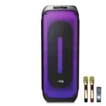 Weconic Portable Karaoke Speaker Bluetooth Twin Wireless Microphones