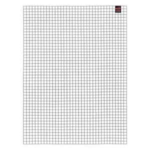 Rapid 900 x 1200mm 25 x 25mm Silver Wire Mesh Panel