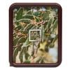 Pixel 8 x 10" Walnut Finish Photo Frame