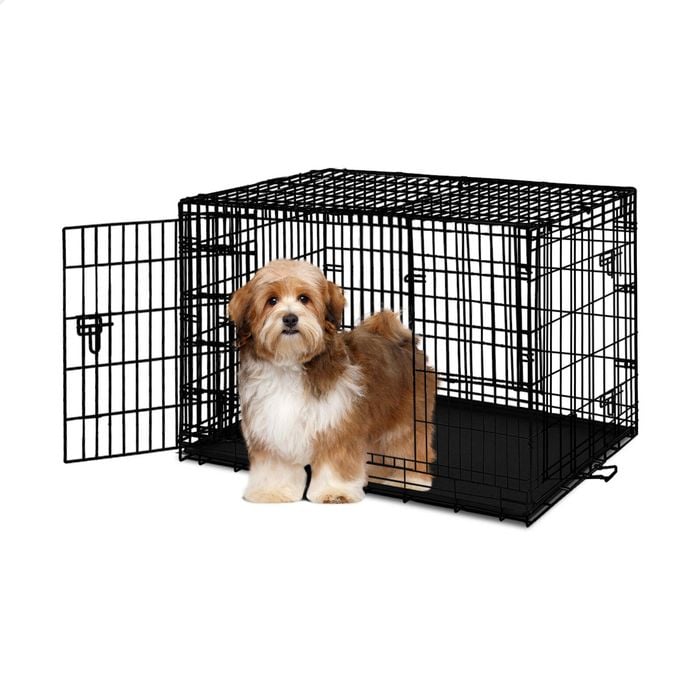 24 inch pet crate best sale