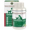 Nas Osteoforte Animal Joint Supplement 60 Caps