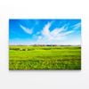 Green Field under a Cloudy Sky  Print 100% Australian Made 120 x 90cm  (Stretched)