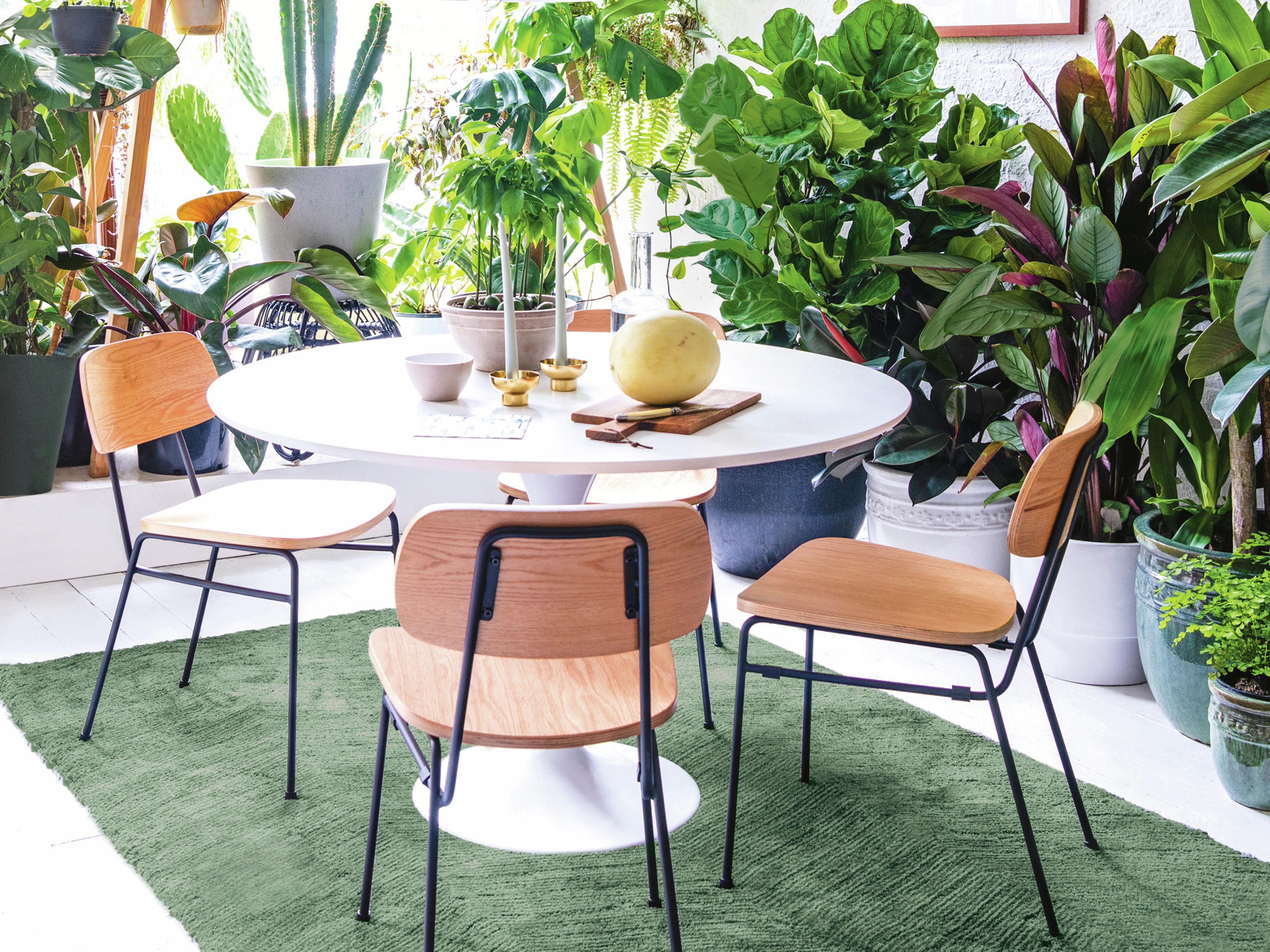 Bunnings chairs indoor hotsell