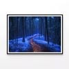 Footpath in the Forest View  Print 100% Australian Made 120x90cm  (Poster)