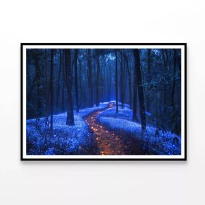 Footpath in the Forest View  Print 100% Australian Made 120x90cm  (Poster)