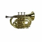 Axiom Pocket Trumpet Outfit - School Trumpet